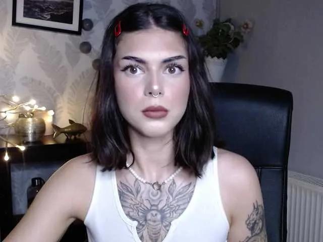 Offline NovaSin on BongaCams
