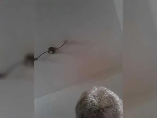 Offline Reife-dame on BongaCams