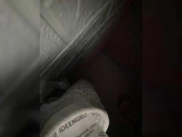 Offline SABENY on BongaCams