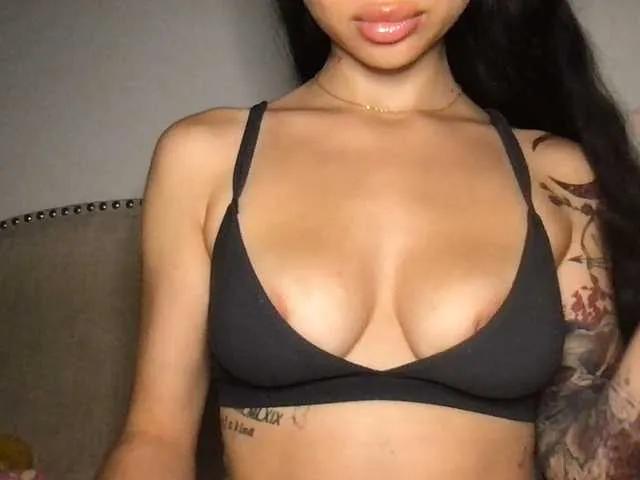 Xoxcat on BongaCams 