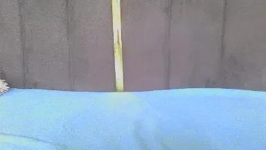 Baby_Nyash on Cam4 