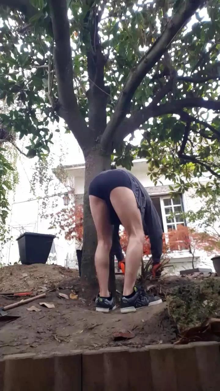 Freechat Dickwolf91 on Cam4