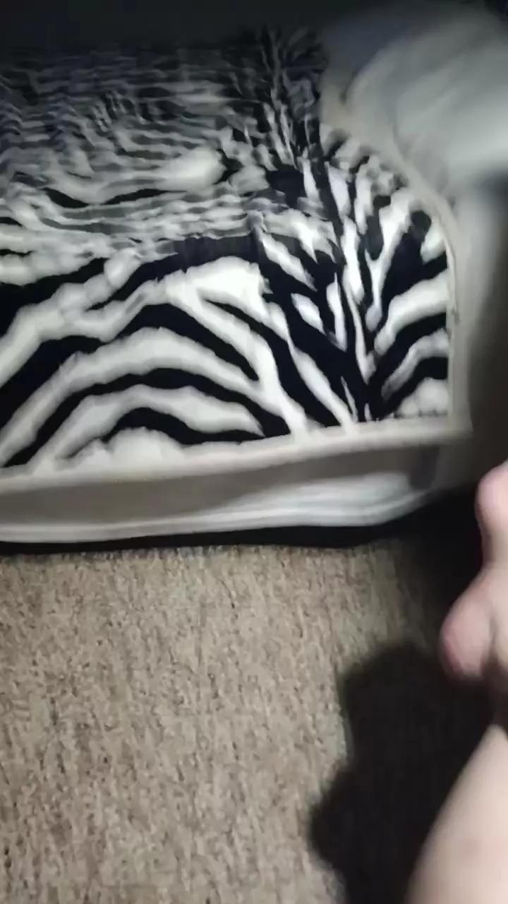 Offline Francescaleo on Cam4