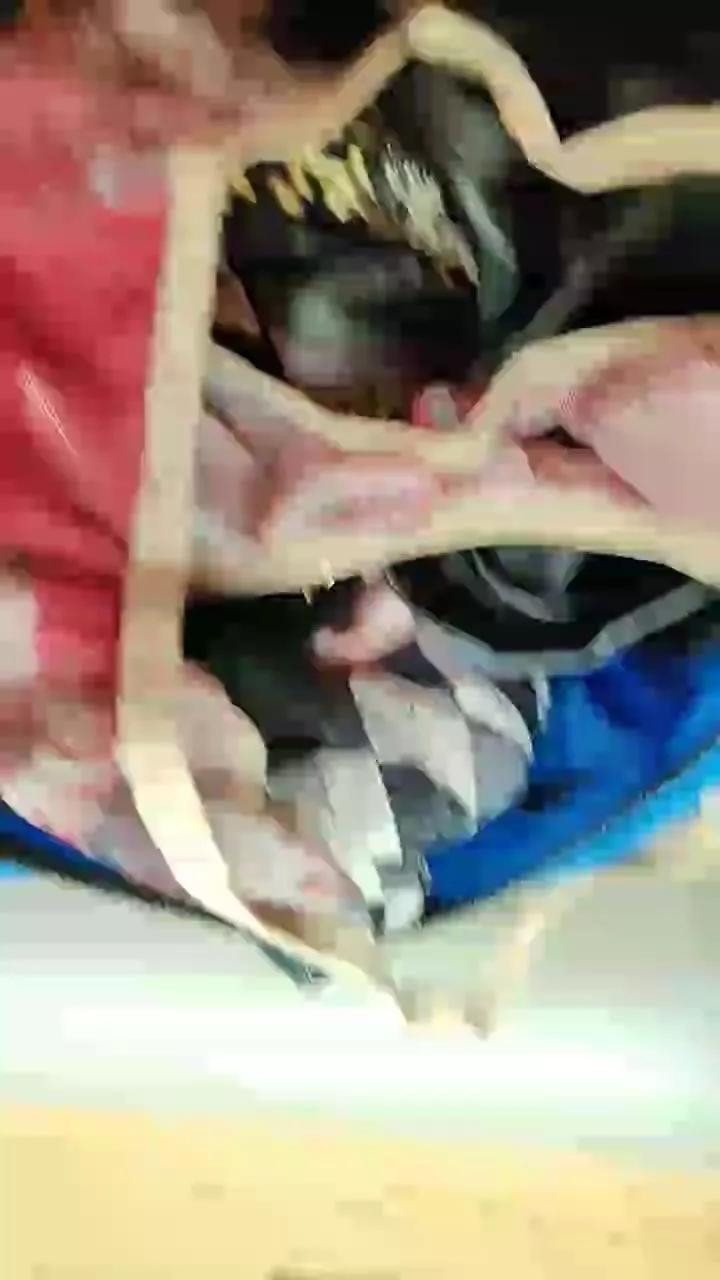 Offline Nono1977 on Cam4