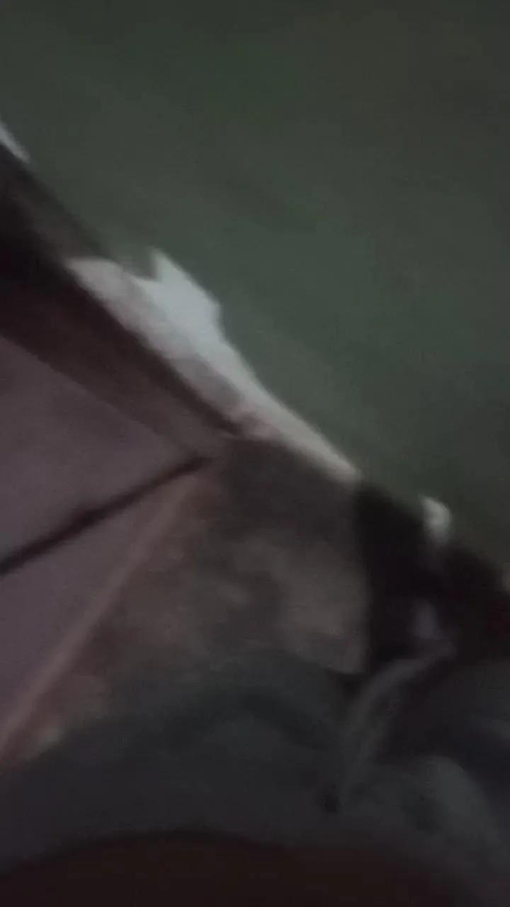 Offline Scarlett_pee on Cam4