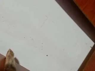 Offline kenia-oz on CamSoda