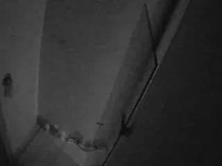 Offline voyeurcam-casa-salsa-bathroom-7 on CamSoda