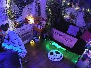 Offline voyeurcam-veccasalt-01 on CamSoda