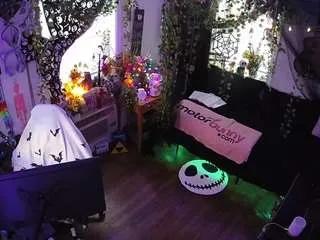 Offline voyeurcam-veccasalt-01 on CamSoda