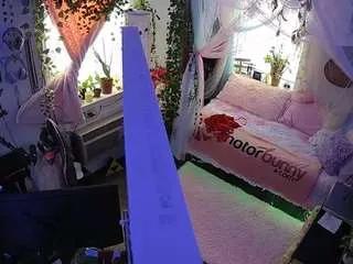 Offline voyeurcam-veccasalt-01 on CamSoda