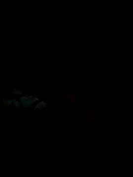 Freechat CoMay003 on StripChat