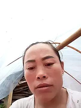 Freechat CoMay003 on StripChat